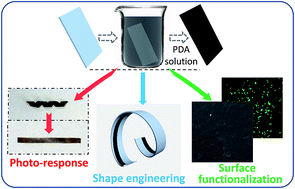 Graphical abstract: Polydopamine coated shape memory polymer: enabling light triggered shape recovery, light controlled shape reprogramming and surface functionalization