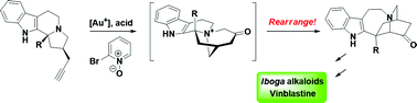 Graphical abstract: Enantioselective synthesis of Iboga alkaloids and vinblastine via rearrangements of quaternary ammoniums