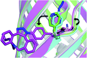 Graphical abstract: Molecular basis for functional switching of GFP by two disparate non-native post-translational modifications of a phenyl azide reaction handle