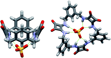 Graphical abstract: Macrocyclic squaramides: anion receptors with high sulfate binding affinity and selectivity in aqueous media