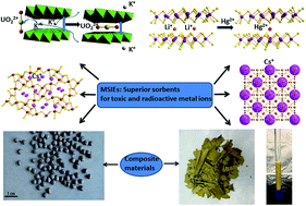 Graphical abstract: Metal sulfide ion exchangers: superior sorbents for the capture of toxic and nuclear waste-related metal ions