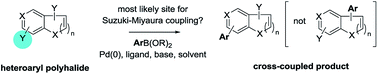 Graphical abstract: Site-selective Suzuki–Miyaura coupling of heteroaryl halides – understanding the trends for pharmaceutically important classes