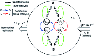 Graphical abstract: Spontaneous mirror symmetry breaking in heterocatalytically coupled enantioselective replicators