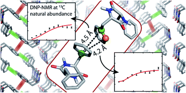 Graphical abstract: Welcoming natural isotopic abundance in solid-state NMR: probing π-stacking and supramolecular structure of organic nanoassemblies using DNP