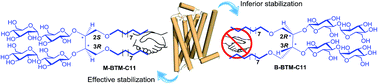 Graphical abstract: Butane-1,2,3,4-tetraol-based amphiphilic stereoisomers for membrane protein study: importance of chirality in the linker region