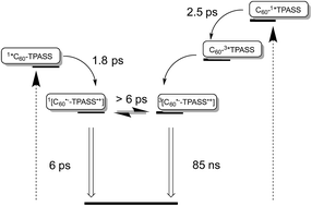Graphical abstract: Sulfur rich electron donors – formation of singlet versus triplet radical ion pair states featuring different lifetimes in the same conjugate