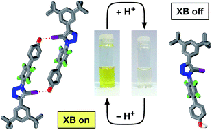 Graphical abstract: pH controlled assembly of a self-complementary halogen-bonded dimer