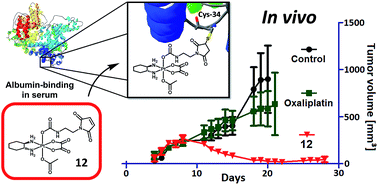 Graphical abstract: An albumin-based tumor-targeted oxaliplatin prodrug with distinctly improved anticancer activity in vivo