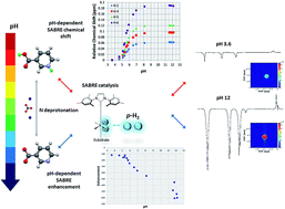 Graphical abstract: SABRE hyperpolarisation of vitamin B3 as a function of pH