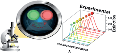 Graphical abstract: Plasmonic labeling of subcellular compartments in cancer cells: multiplexing with fine-tuned gold and silver nanoshells