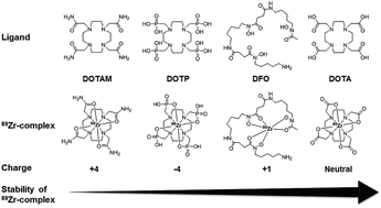 Graphical abstract: Zirconium tetraazamacrocycle complexes display extraordinary stability and provide a new strategy for zirconium-89-based radiopharmaceutical development