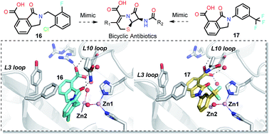 Graphical abstract: NMR-filtered virtual screening leads to non-metal chelating metallo-β-lactamase inhibitors