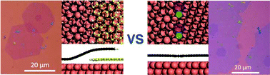 Graphical abstract: Formation mechanism of overlapping grain boundaries in graphene chemical vapor deposition growth