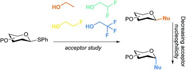 Graphical abstract: The influence of acceptor nucleophilicity on the glycosylation reaction mechanism