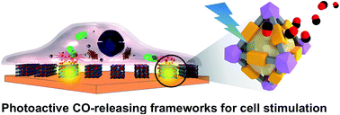 Graphical abstract: Light responsive metal–organic frameworks as controllable CO-releasing cell culture substrates