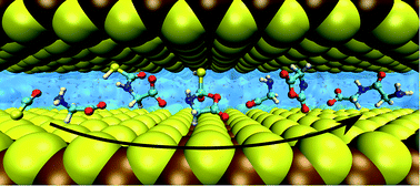 Graphical abstract: Chemistry in nanoconfined water