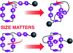 Graphical abstract: Radically promoted formation of a molecular lasso