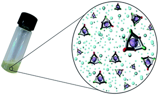 Graphical abstract: Understanding gas capacity, guest selectivity, and diffusion in porous liquids