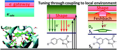 Graphical abstract: Mechanism of resonant electron emission from the deprotonated GFP chromophore and its biomimetics