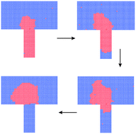 Graphical abstract: Pore emptying transition during nucleation in hydrophobic nanopores