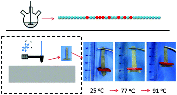 Graphical abstract: Multi-shape memory polymers achieved by the spatio-assembly of 3D printable thermoplastic building blocks