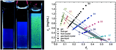 Graphical abstract: Exploring the dynamics of phase separation in colloid–polymer mixtures with long range attraction