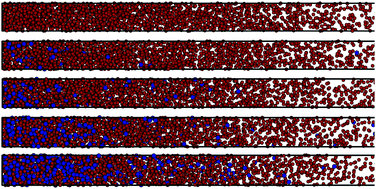 Graphical abstract: Sedimentation equilibria in polydisperse ferrofluids: critical comparisons between experiment, theory, and computer simulation