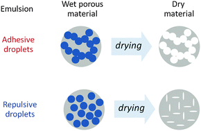Graphical abstract: Tailoring of the porous structure of soft emulsion-templated polymer materials