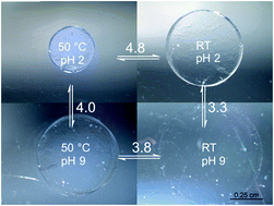 Graphical abstract: Swelling behavior of bisensitive interpenetrating polymer networks for microfluidic applications