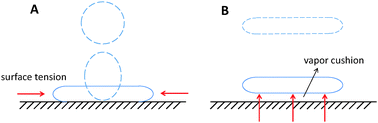 Graphical abstract: The impact of viscoplastic drops on a heated surface in the Leidenfrost regime