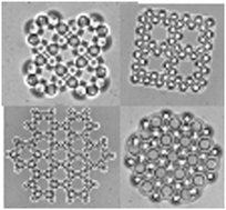 Graphical abstract: Two-dimensional assemblies of nematic colloids in homeotropic cells and their response to electric fields