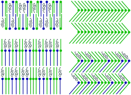 Graphical abstract: Phase separation in ceramide[NP] containing lipid model membranes: neutron diffraction and solid-state NMR