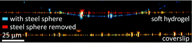 Graphical abstract: Simultaneous measurement of the Young's modulus and the Poisson ratio of thin elastic layers
