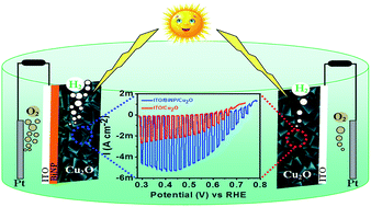 Graphical abstract: Benign role of Bi on an electrodeposited Cu2O semiconductor towards photo-assisted H2 generation from water