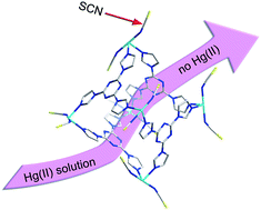 Graphical abstract: In situ large-scale construction of sulfur-functionalized metal–organic framework and its efficient removal of Hg(ii) from water