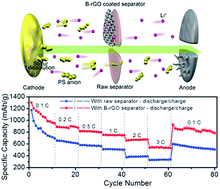 Graphical abstract: Light-weight functional layer on a separator as a polysulfide immobilizer to enhance cycling stability for lithium–sulfur batteries