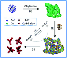 Graphical abstract: Bimetallic Cu–Pd alloy multipods and their highly electrocatalytic performance for formic acid oxidation and oxygen reduction