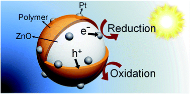Graphical abstract: Photo-driven synthesis of polymer-coated platinized ZnO nanoparticles with enhanced photoelectrochemical charge transportation