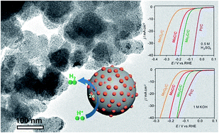 Graphical abstract: Controllable synthesis of molybdenum-based electrocatalysts for a hydrogen evolution reaction
