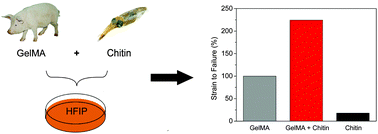 Graphical abstract: Ultrastrong and flexible hybrid hydrogels based on solution self-assembly of chitin nanofibers in gelatin methacryloyl (GelMA)