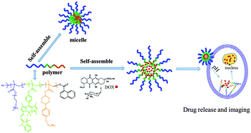 Graphical abstract: Real-time monitoring of a controlled drug delivery system in vivo: construction of a near infrared fluorescence monomer conjugated with pH-responsive polymeric micelles