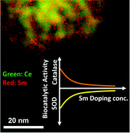 Graphical abstract: Controlling the surface chemistry of cerium oxide nanoparticles for biological applications