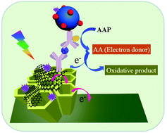 Graphical abstract: An enhanced photoelectrochemical platform: graphite-like carbon nitride nanosheet-functionalized ZnO nanotubes