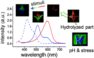 Graphical abstract: Decoupling dual-stimuli responses in patterned lamellar hydrogels as photonic sensors