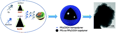 Graphical abstract: One-step reactivity-driven synthesis of core–shell structured electrically conducting particles for biomedical applications