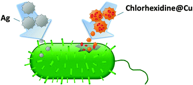 Graphical abstract: An antibacterial copper composite more bioactive than metallic silver