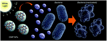 Graphical abstract: Enhanced visible light promoted antibacterial efficiency of conjugated microporous polymer nanoparticles via molecular doping