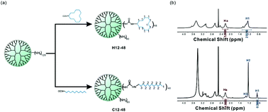 Graphical abstract: Enhanced siRNA delivery of a cyclododecylated dendrimer compared to its linear derivative