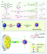Graphical abstract: Novel multifunctionalized peryleneteracarboxylic/amine supramolecules for electrochemical assay
