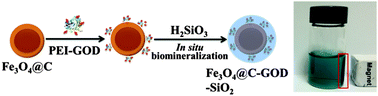 Graphical abstract: Robust glucose oxidase with a Fe3O4@C-silica nanohybrid structure